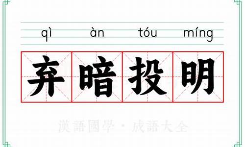 弃暗投明意思解释-弃暗投明是什么意思打一