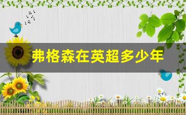 弗格森拿了几个英超冠军-弗格森在英超多少年