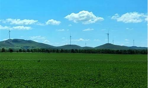 张北坝上草原天气预报七天查询_张北坝上草原