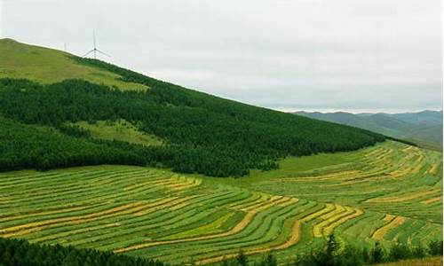 张家口坝上草原自驾游攻略一日游,张家口坝