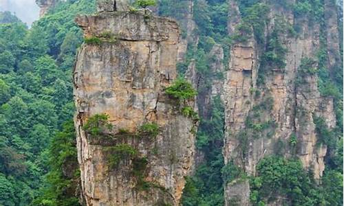 张家界旅游攻略带孩子四天三夜去哪里玩_张家界旅游攻略带孩子四天三夜去哪里玩比较好