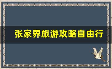 张家界旅游攻略自由行带孩子的地方-张家界带娃旅游攻略