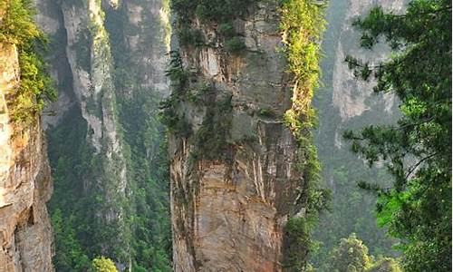 张家界武陵源风景区地图_张家界武陵源风景区