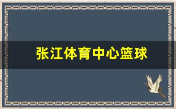 张江体育中心篮球-张江中心篮球俱乐部