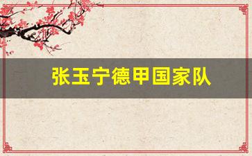 张玉宁德甲国家队-张玉宁德甲进球