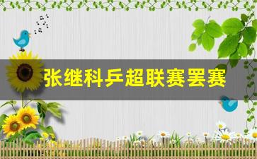 张继科乒超mvp-张继科乒超联赛罢赛