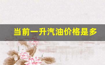 一升汽油油价格是多少-当前一升汽油价格是多少