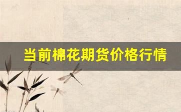当前棉花期货价格行情最新(棉花期货价格行情走势)_https://www.jumanxin.com_上交所_第1张