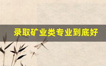 录取矿业类专业到底好吗(矿业类专业怎么样)_https://www.nalian8.com_北交所_第1张