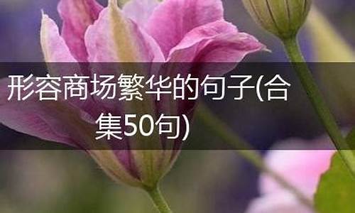 形容商业繁华的句子有哪些_形容商业繁华的句子