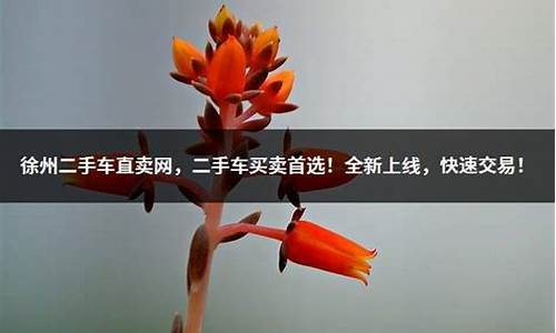 徐州二手车买卖平台_徐州二手车买卖