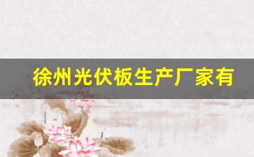 徐州光伏板生产厂家有哪些(徐州光伏板生产厂家有哪些企业)_https://www.taocizhiliang.com_设计报价_第1张