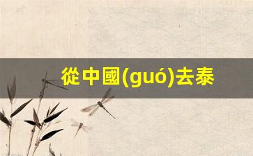 從中國(guó)去泰國(guó)旅游辦簽證要多少錢(qián)(中國(guó)到泰國(guó)旅游簽證有效期是多久)