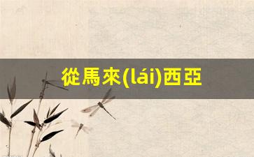 從馬來(lái)西亞區(qū)印尼要簽證嗎(馬來(lái)西亞在印尼的什么方向)