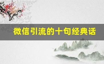 微信引流的十句经典话术全解析(微信引流的技巧是什么)插图