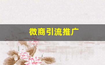 微商引流推广(微商引流推广收费标准)_https://www.taocizhiliang.com_设计报价_第1张