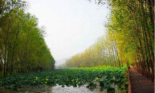 微山湖旅游攻略必玩的景点图片_微山湖旅游攻略必玩的景点