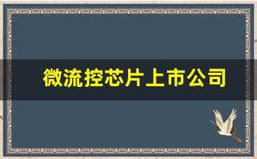微流控芯片上市公司(微流控芯片上市公司有几家)_https://www.wanyuyiyao.com_上交所_第1张