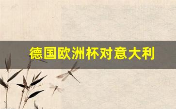 德国欧洲杯对意大利-德国欧洲杯意大利比赛结果