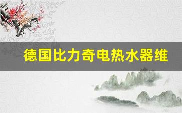 德国比力奇电热水器维修-比力奇热水器服务