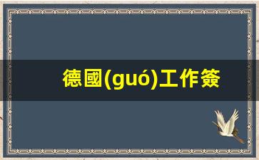 德國(guó)工作簽證工資要求(德國(guó)工作簽證工資要求多少)