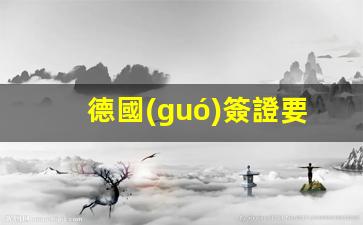 德國(guó)簽證要多久的流水才能下來(德國(guó)簽證申請(qǐng)中心官網(wǎng))