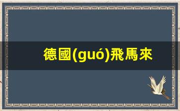 德國(guó)飛馬來西亞簽證費(fèi)用對(duì)比，解析兩國(guó)簽證優(yōu)劣及費(fèi)用差異