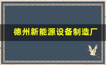 德州新能源设备制造厂(德州新能源汽车厂)_https://www.tuogunzhijia.com_道指期货_第1张
