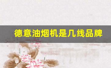 德意油烟机是几线品牌成立哪一年-德意油烟机是几线品牌