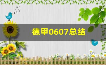 德甲0809赛季-德甲0607总结