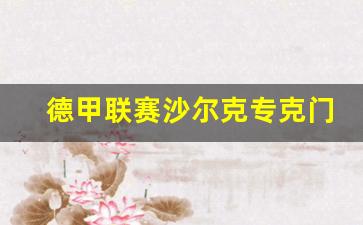 德甲联赛沙尔克专克门兴-德甲 沙尔克