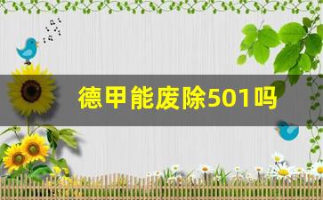 德甲能废除501吗-德甲废除50+1