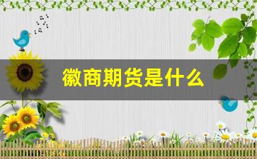 徽商期货是什么(徽商期货app下载)_https://www.jnskb.com_装修公司_第1张