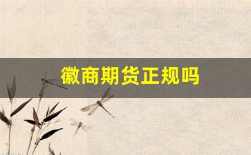 徽商期货正规吗(徽商期货app下载)_https://www.wanyuyiyao.com_北交所_第1张