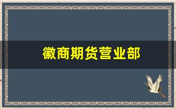 徽商期货营业部(徽商期货官网)_https://www.rzcpcj.com_直通车_第1张