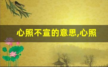 心照不宣的意思,心照不宣的近义词反义词,心照不宣造句例句,心照不宣出处及解释-第1张图片-我的生活随想