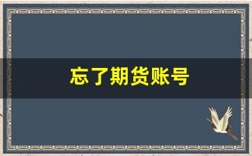 忘了期货账号(期货账号忘了怎么找回)_https://www.gfdzclz.com_深交所_第1张