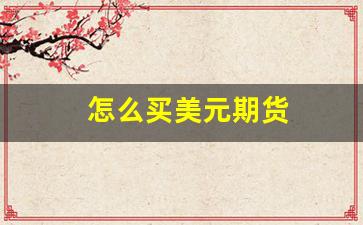 怎么买美元期货(怎么买美股期货)_https://www.xzdzcjx.com_科创板_第1张