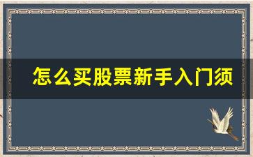 怎么买股票新手入门须知(新手怎么买股票详细步骤视频)_https://www.brunchezvous.com_旅游攻略_第1张