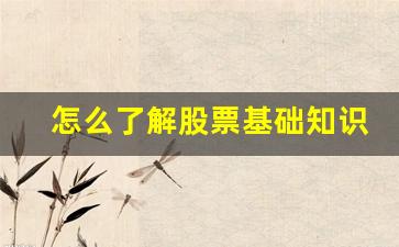 怎么了解股票基础知识点(怎么了解股票基础知识点和技巧)_https://www.hangfeite.com_上交所_第1张