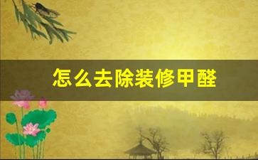 怎么去除装修甲醛-如何去除装修甲醛的方法