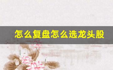 怎么复盘怎么选龙头股_https://www.erdeww.com_期货_第1张