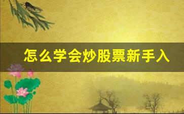 怎么学会炒股票新手入门(怎么能学会炒股票)_https://www.gfdzclz.com_北交所_第1张