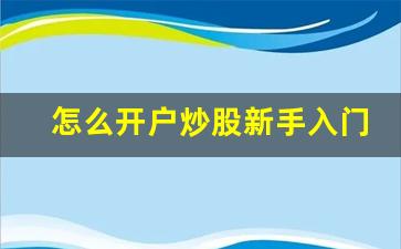 怎么开户炒股新手入门(开户最好四大证券公司)_https://www.gfdzclz.com_科创板_第1张