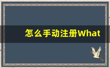 怎么手动注册WhatsApp