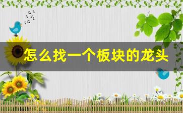 怎么找一个板块的龙头股(如何在板块中找龙头股)_https://www.qgjzrcxxzxpt.com_大商所_第1张