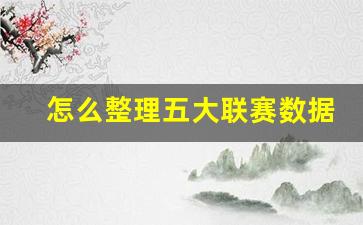 怎么整理五大联赛数据呢-怎么整理五大联赛数据