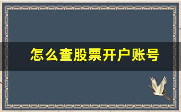 怎么查股票开户账号(如何查找股票开户账号)_https://www.huakunhengjia.com_金融资讯_第1张