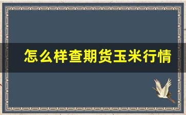 怎么样查期货玉米行情价(怎么样查期货玉米行情价格)_https://www.haiwangdasha.com_大商所_第1张