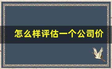 怎么样评估一个公司价值多少_https://www.wguangz.com_大商所_第1张